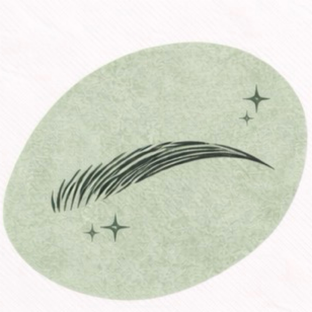 Brow Lamination Mapping + Henna at LUXskin in Carnegie, PA