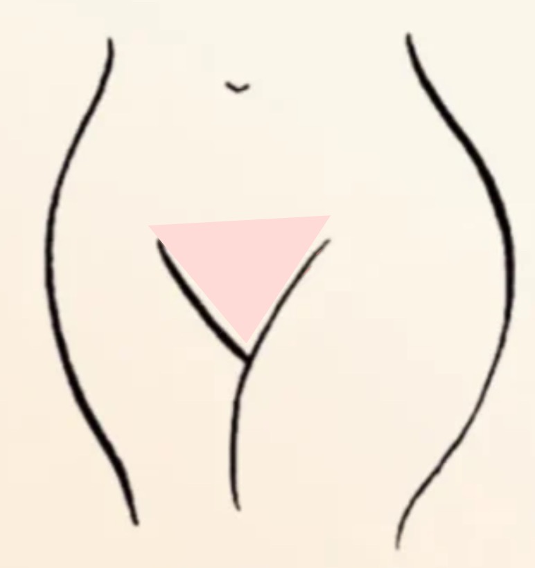 Bikini Full