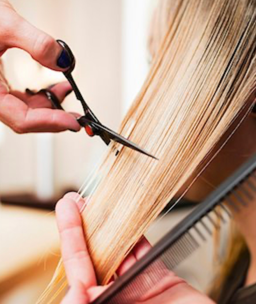 Princess Works (shampoo Cut Style)