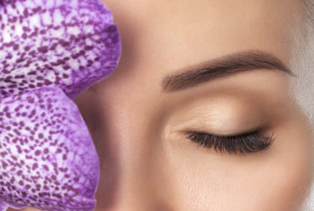 Classic Bee Partial Eyelash Set