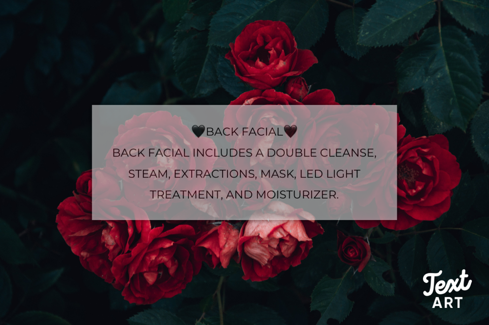 Back facial