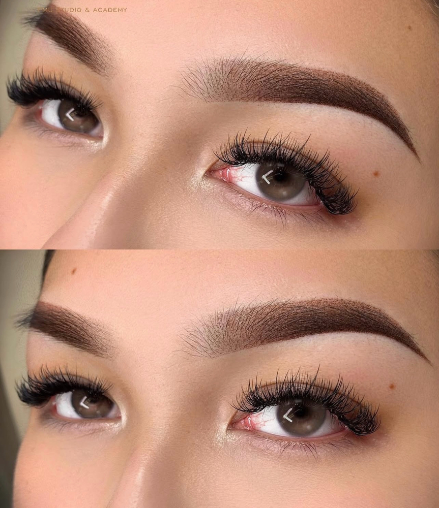 Eyebrows Touch Up After 2 Years at Mary Brows & Lashes in Campbell, CA