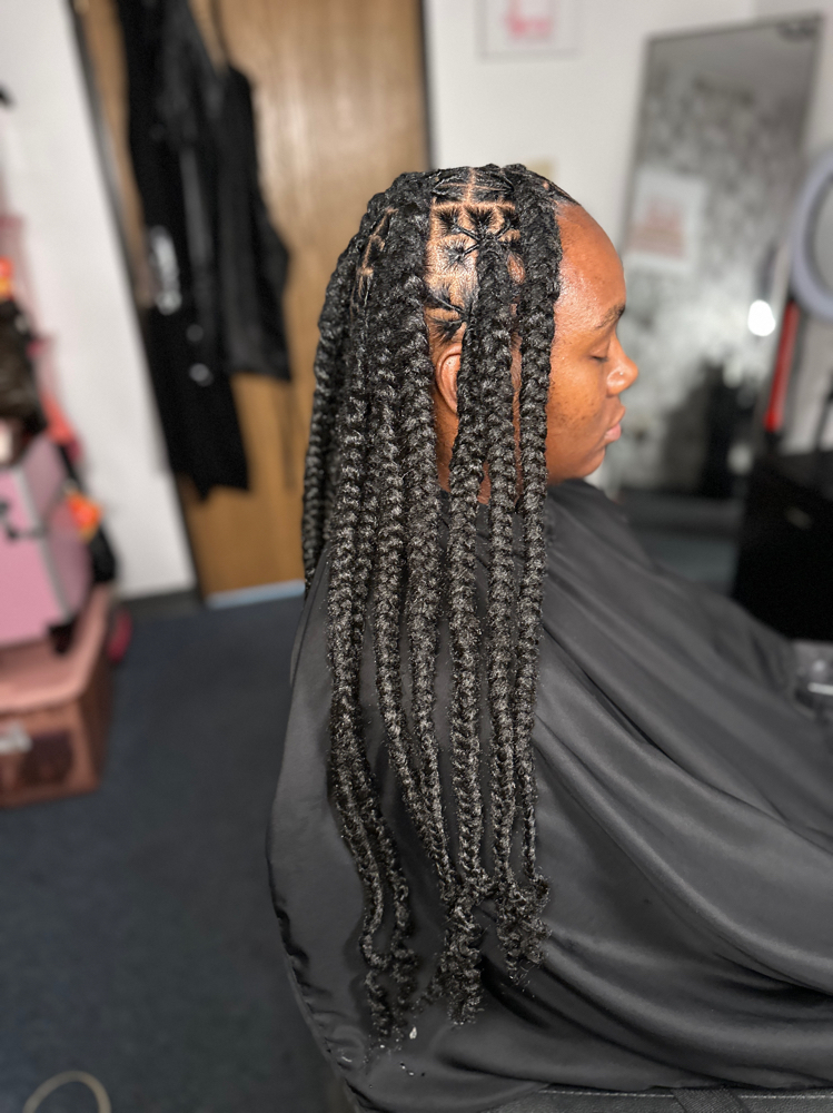 Extended Knotless Braids locs only