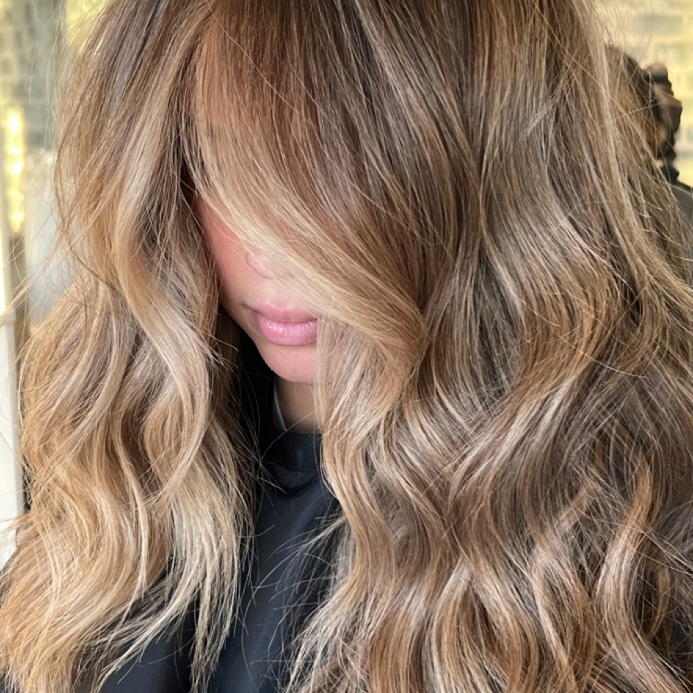 Lowlights for dimension at Hair By Alexa in 11758