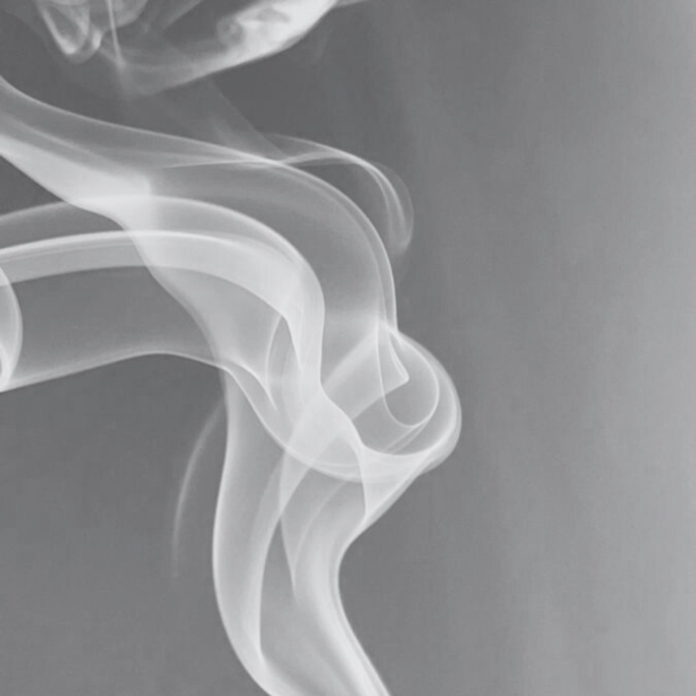 Base/Partial Highlight at Palo Santo in San Diego, CA