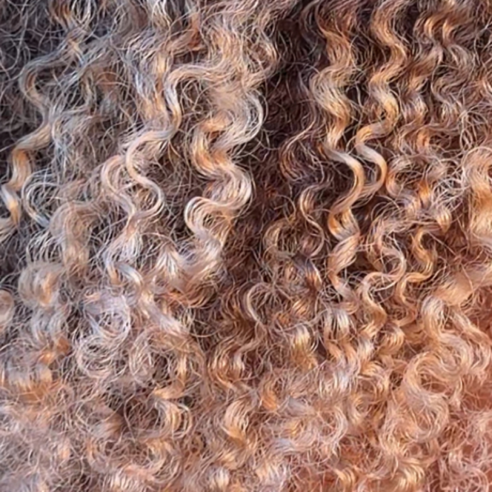 All Over Color (Gloss) at Sunshine Curls in Tampa, FL