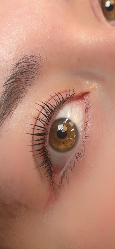 Ultimate Lash Lift