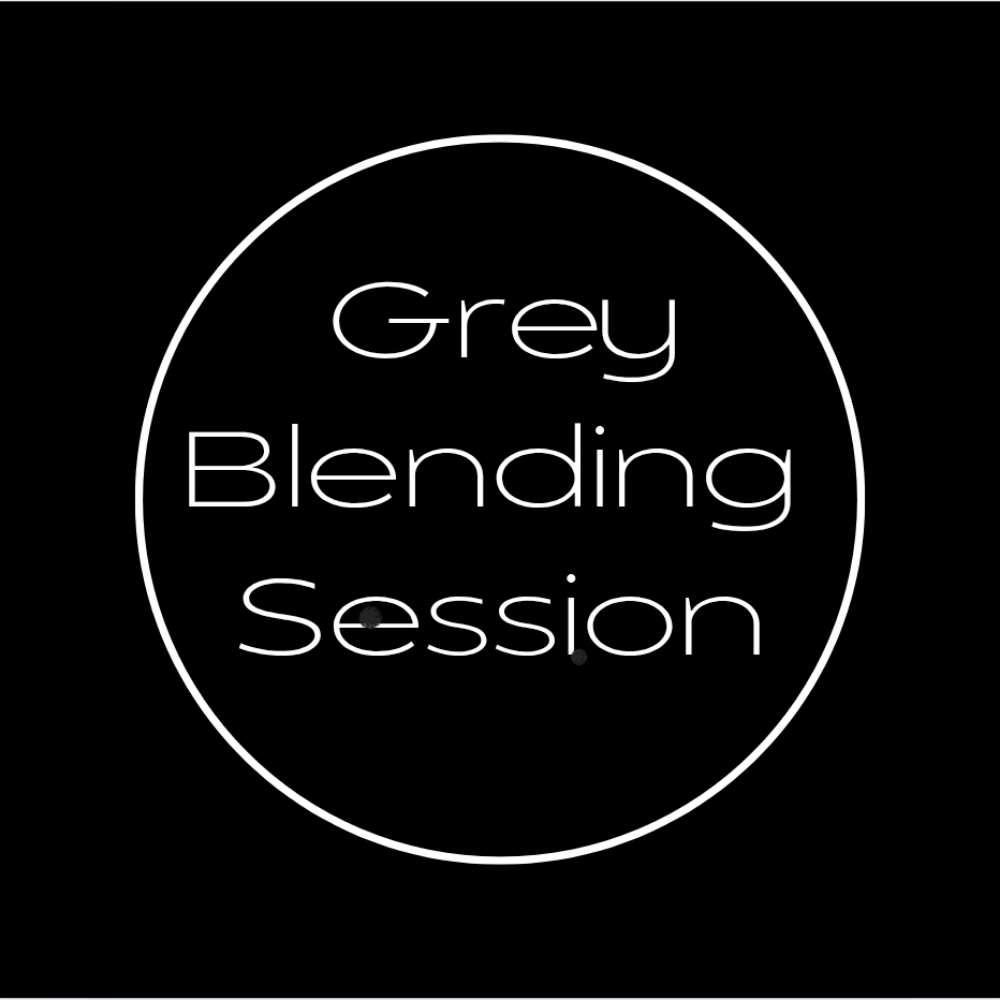 Grey Blending Session at StacyStylz Color & Design Studio in Syracuse, NY