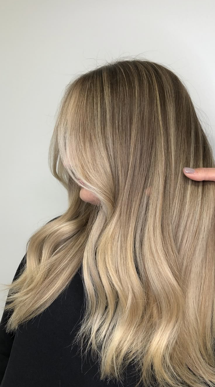 Full Highlight and Haircut