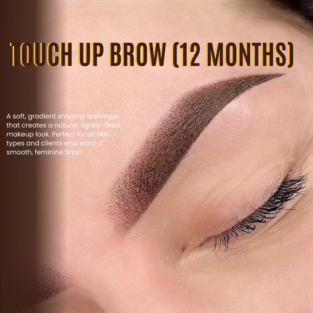 Brows Touch Up ( 6 Months) at Christina brows in Monroe, GA