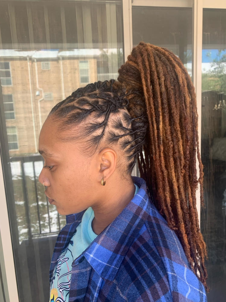 Loc Retwist & Style - Long Locs