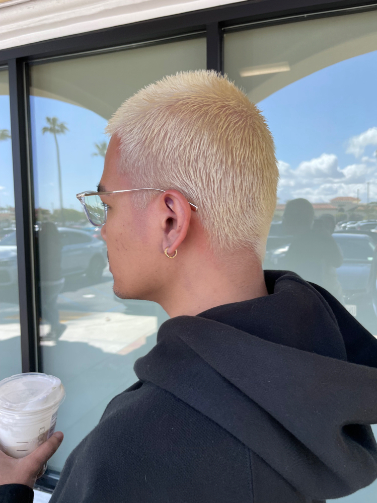 Global Bleach (buzzed/short Hair)