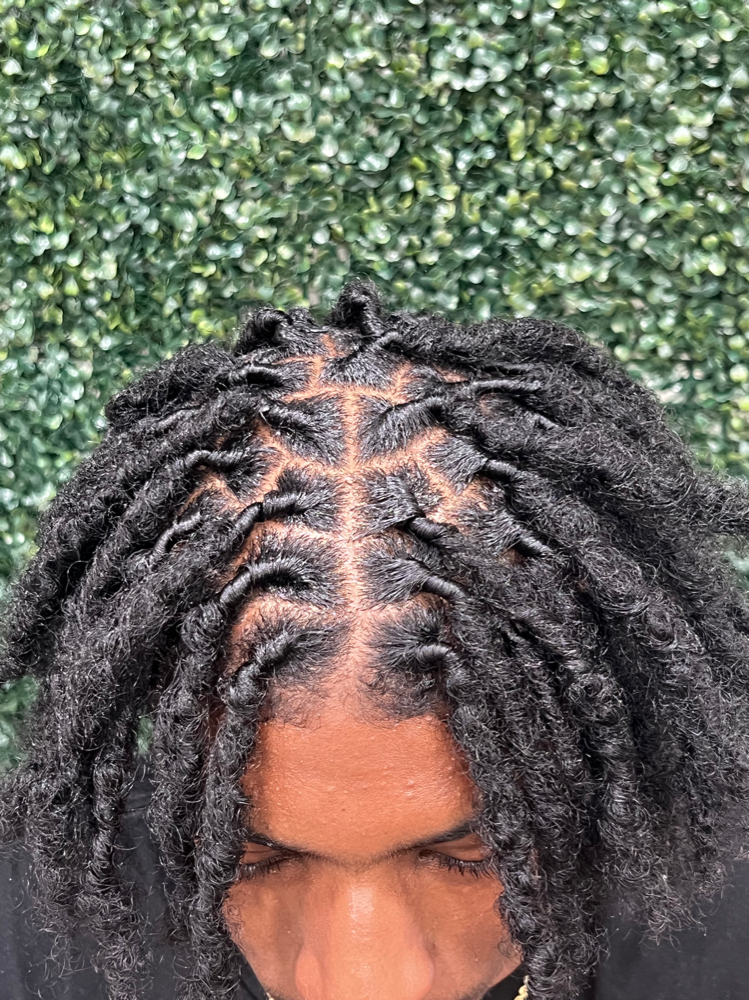 Loc Retwist (no Style)