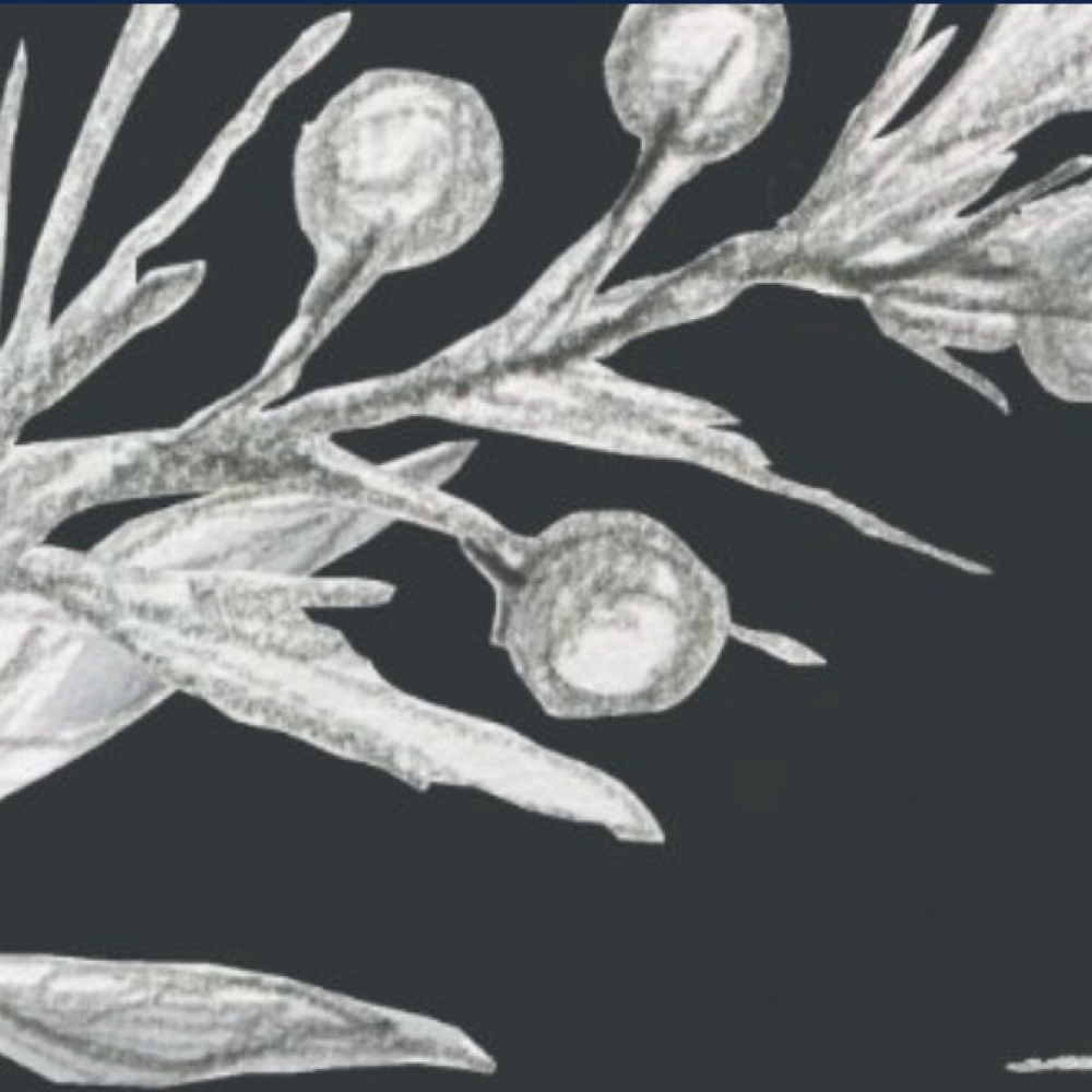 Advanced Microcurrent Facial