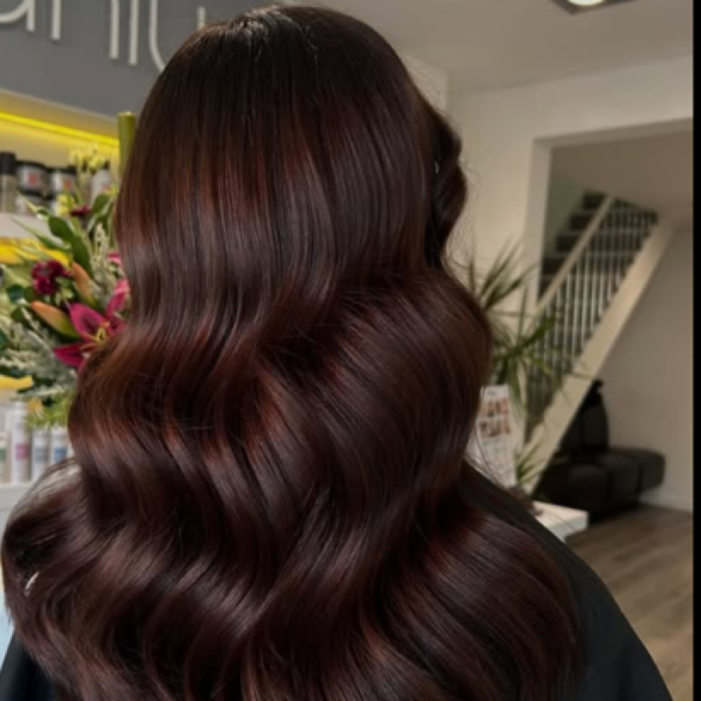 All- over color at Conscious Beauty Co. in Naperville, IL