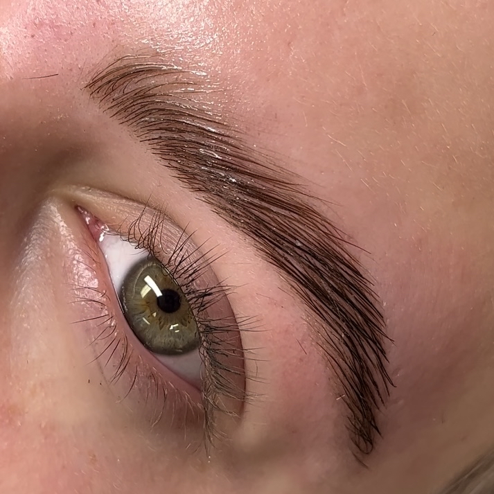 Brow Lamination with Tint