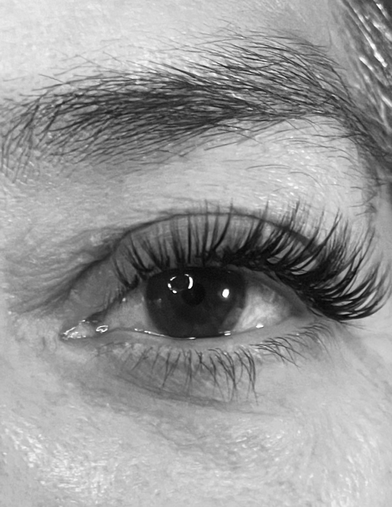 Wispies Wet Set Fill