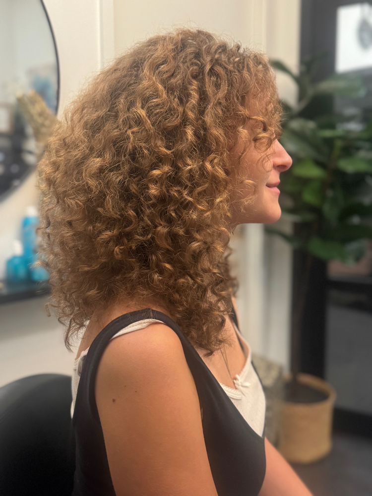 NEW GUEST DEVACUT ONLY