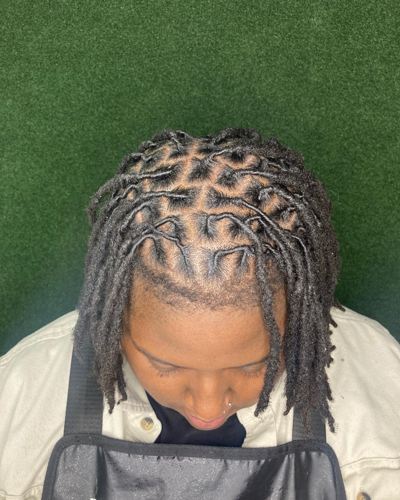 Adult Loc Retwist 14&Up