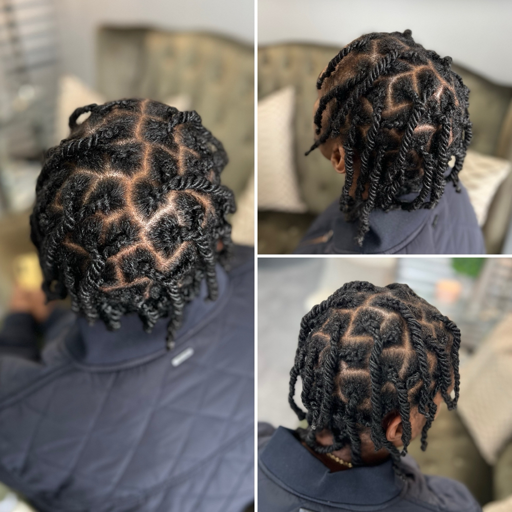 Two Strand Twists