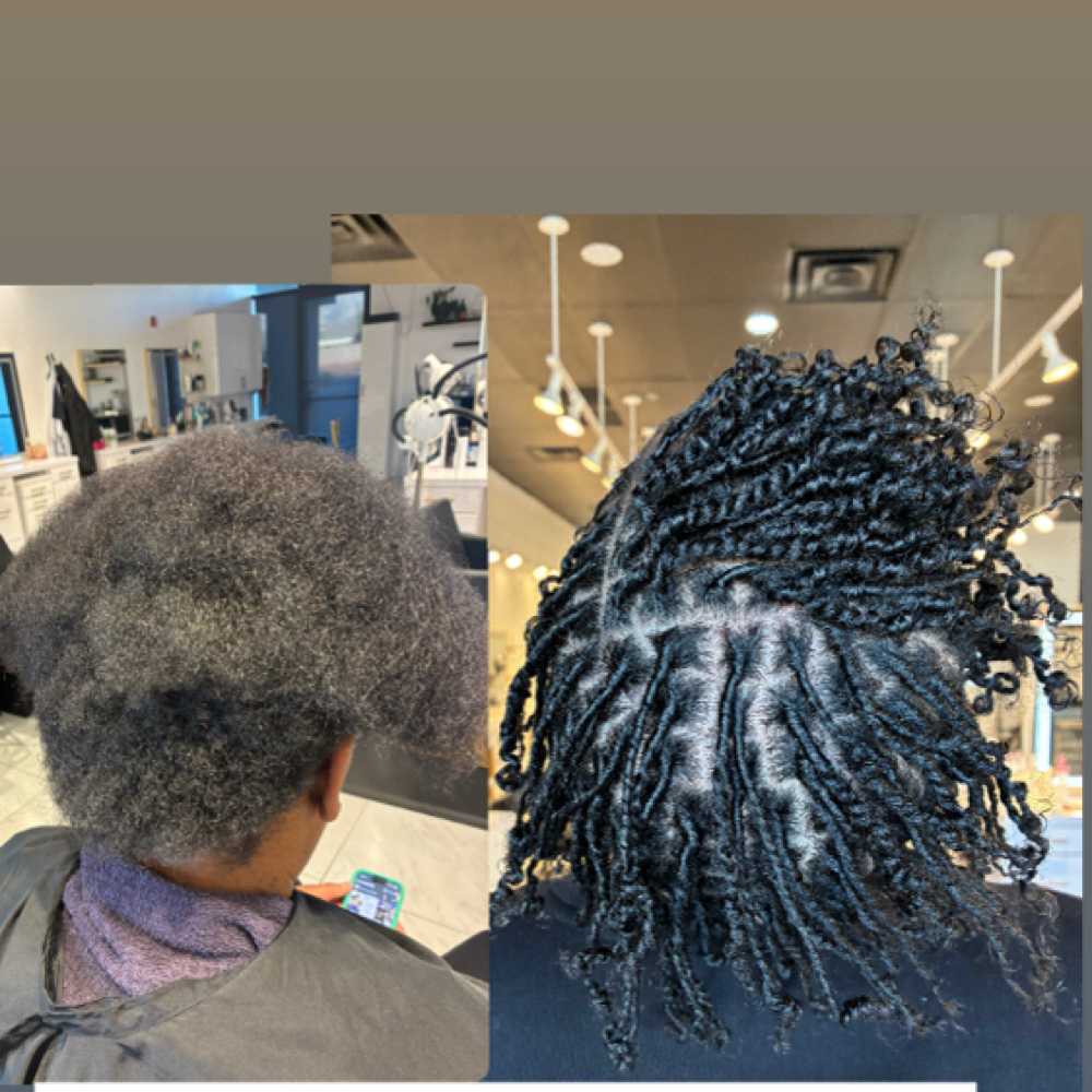 Starter Locs Comb Coil/2Strand at EI-ECO in Las Vegas, NV