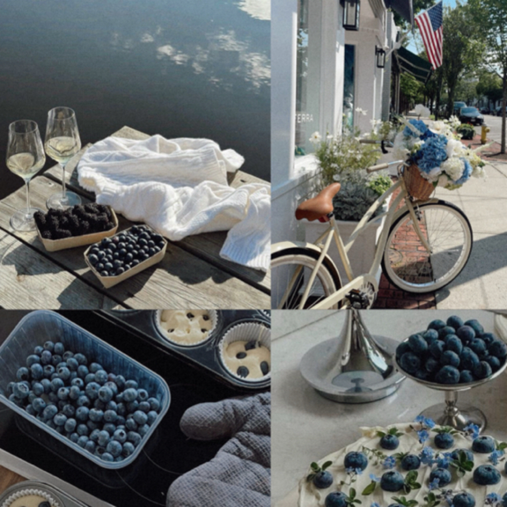 JUNE: BLUEBERRY SHORTCAKE FACIAL at The Modern Aesthetic AZ in Gilbert, AZ