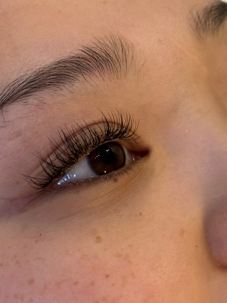 Lash Fill