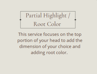 Partial Highlight / Root Color