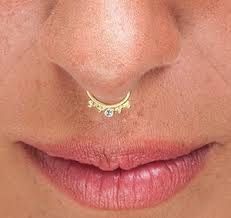 Septum