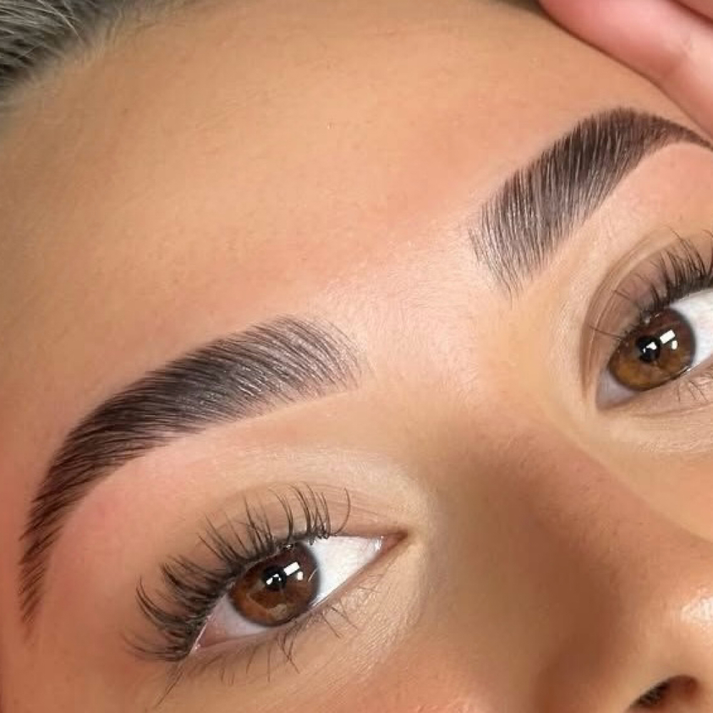 Signature Lamination+Tint+Styling at Beauty Brows Center LLC in Tampa, FL