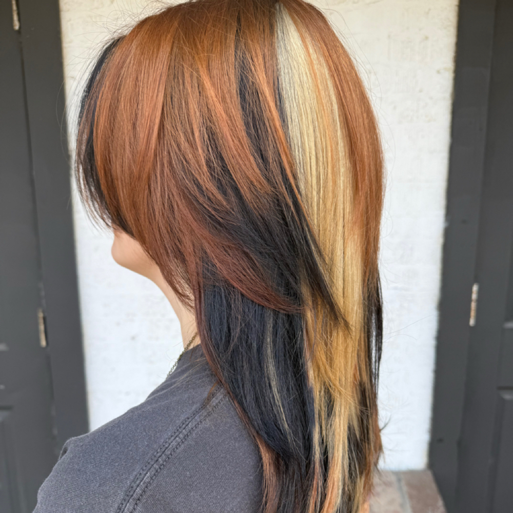 Full Custom Color Service at Color me Vivid by Ashlyn in Calera, AL