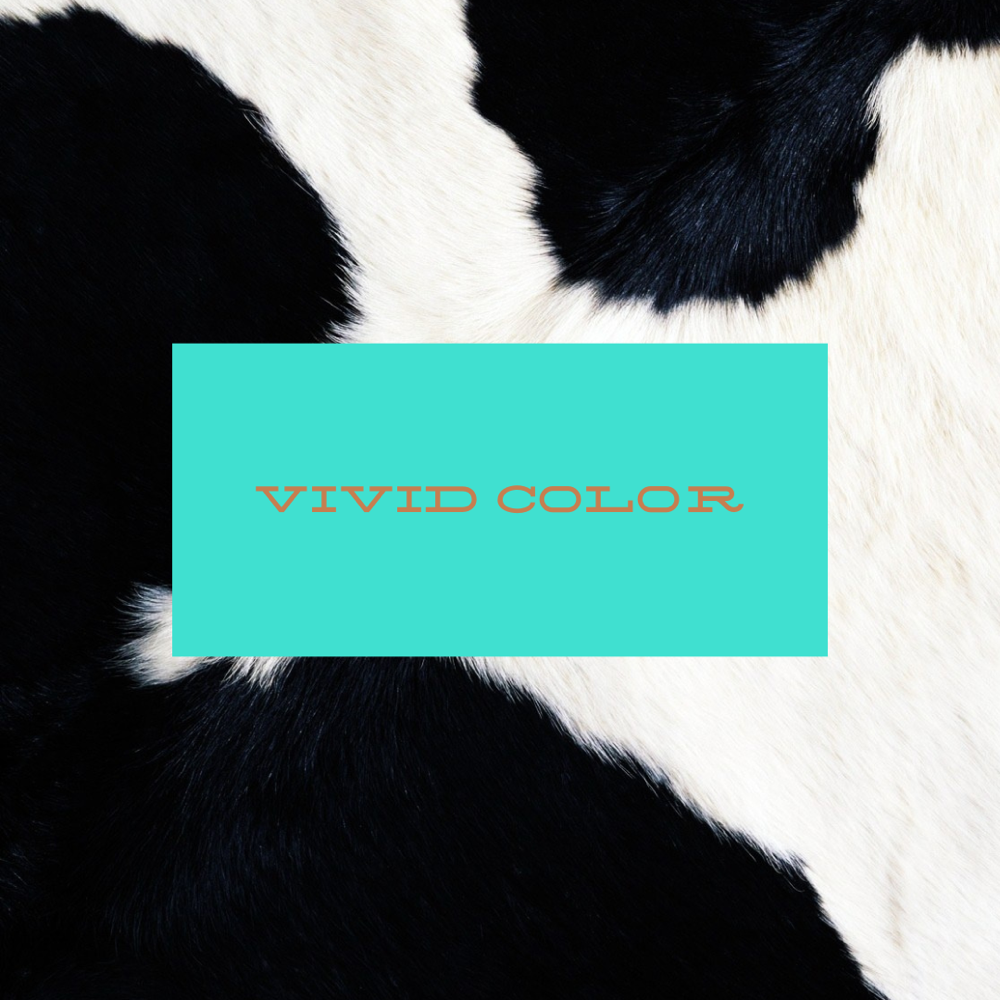 Vivid Color