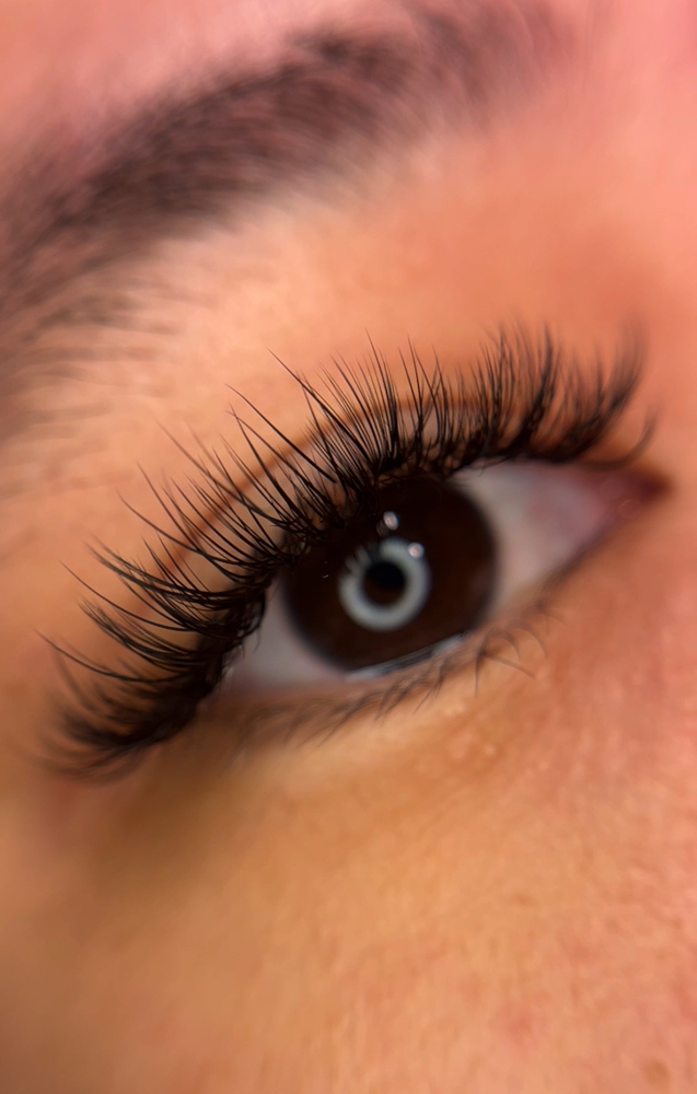 Lash Fills