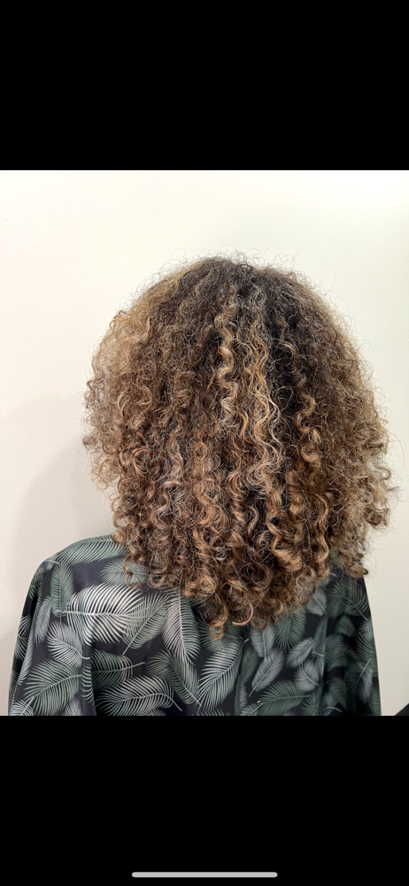 Curly Shampoo/cut/style