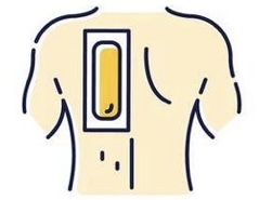 Half Back Wax at Zealus Skincare in Chesapeake VA, VA