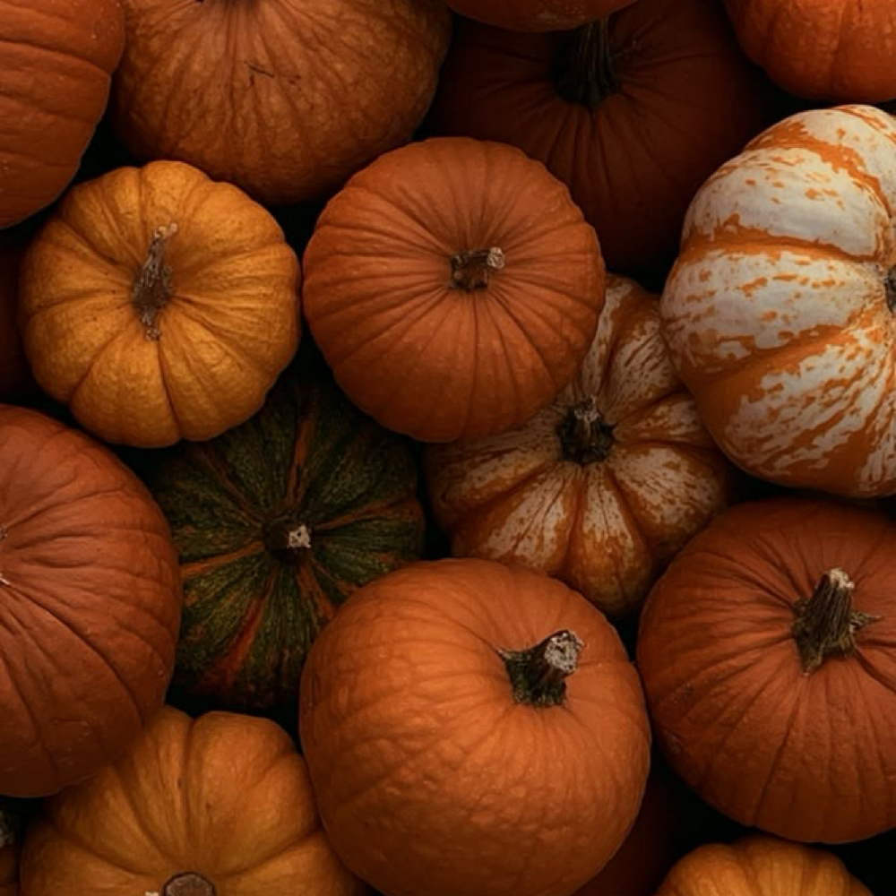Pumpkin Whip Facial 🥧 at Blushing Yucca Esthetics in Alamogordo, NM