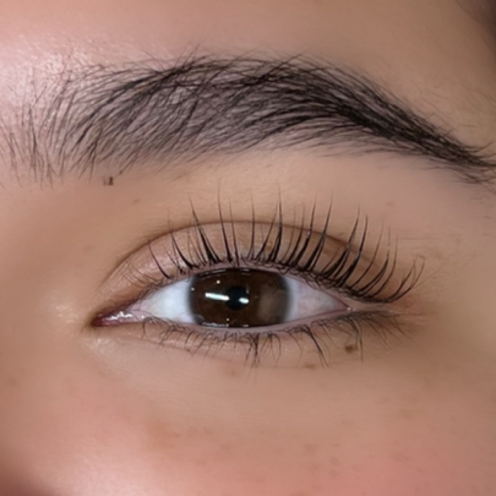 Korean Lash Lift + Tint at lashesbymadik in Wichita, KS