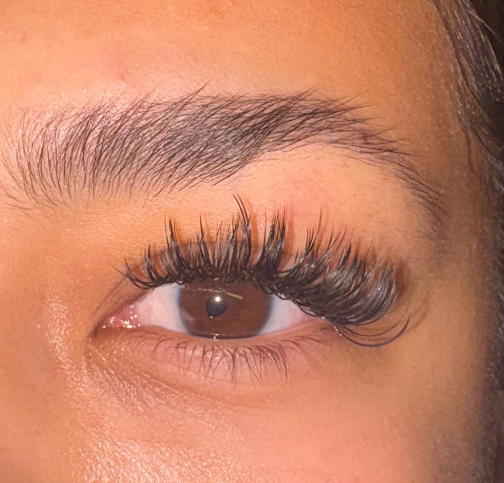 Wispy Hybrid at Ceeflawlesss in Bakersfield, CA