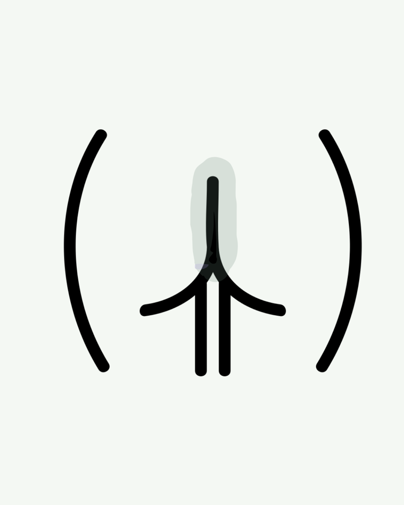 Butt Strip