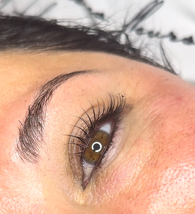 Lash Lift + Tint