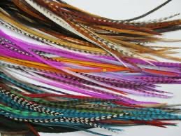 •feathers or tinsel•