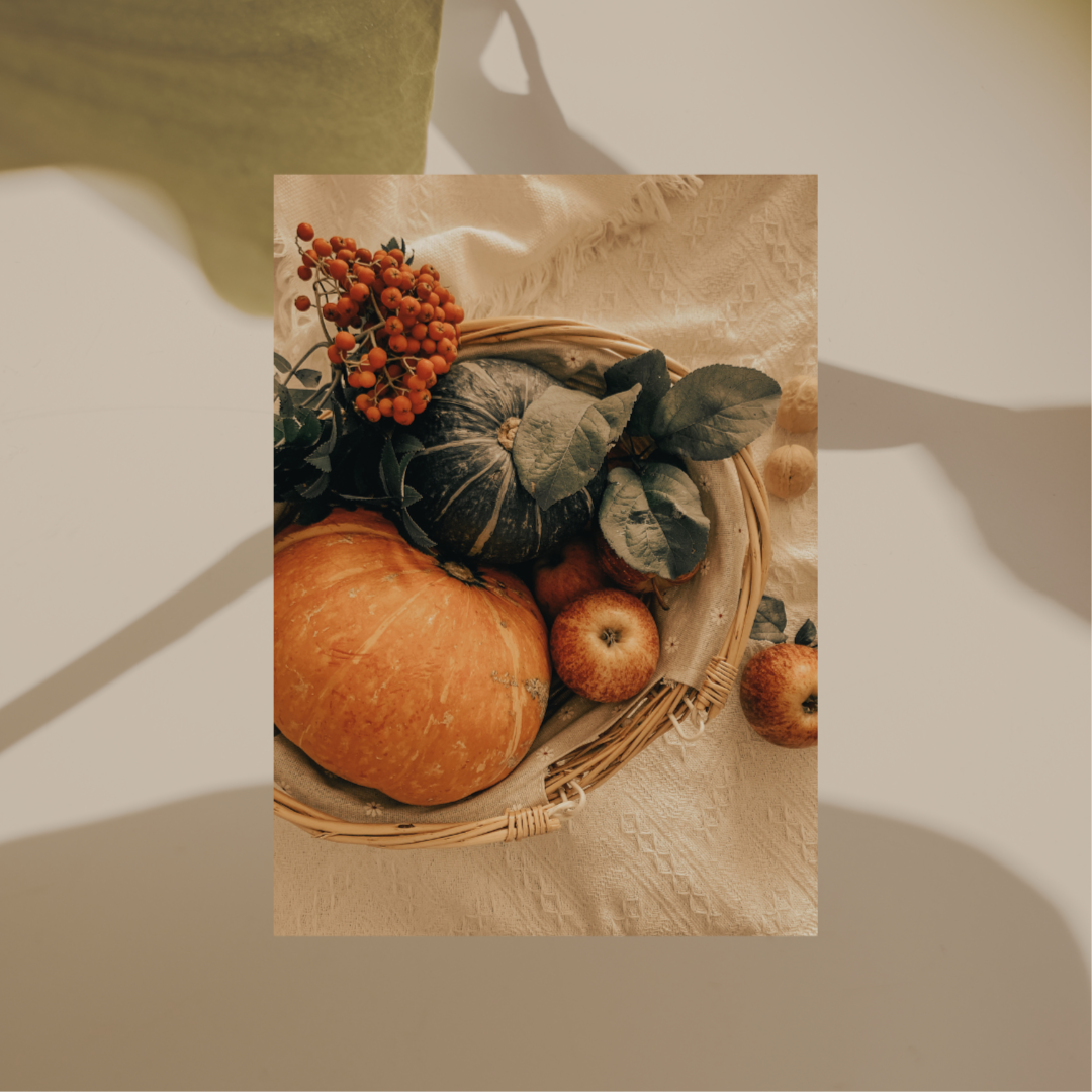 Autumn Alchemy (Special) at Alchemy Aesthetics in Ballston Spa, NY