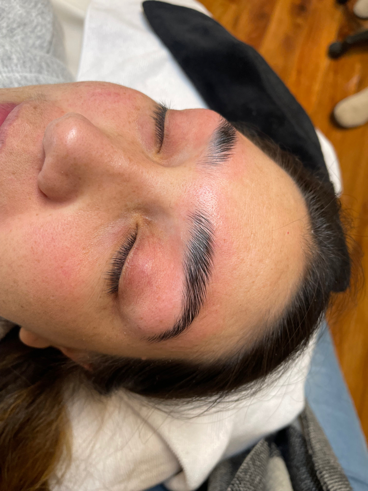 Eyebrow - Lami at Liz_Skin_Beauty in Joliet, IL