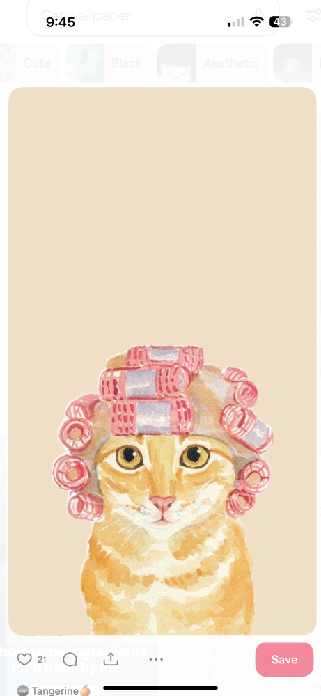 Full Highlight at Moxie + Mane Hair Co. in Johnson City, TN