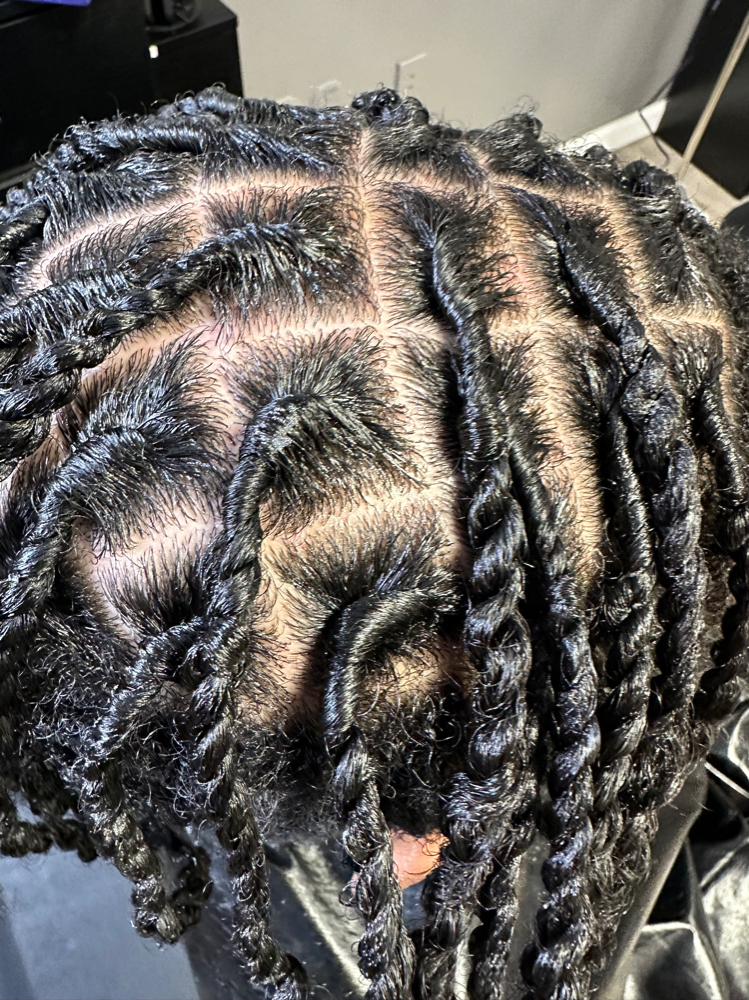 Invisible Locs W/twist