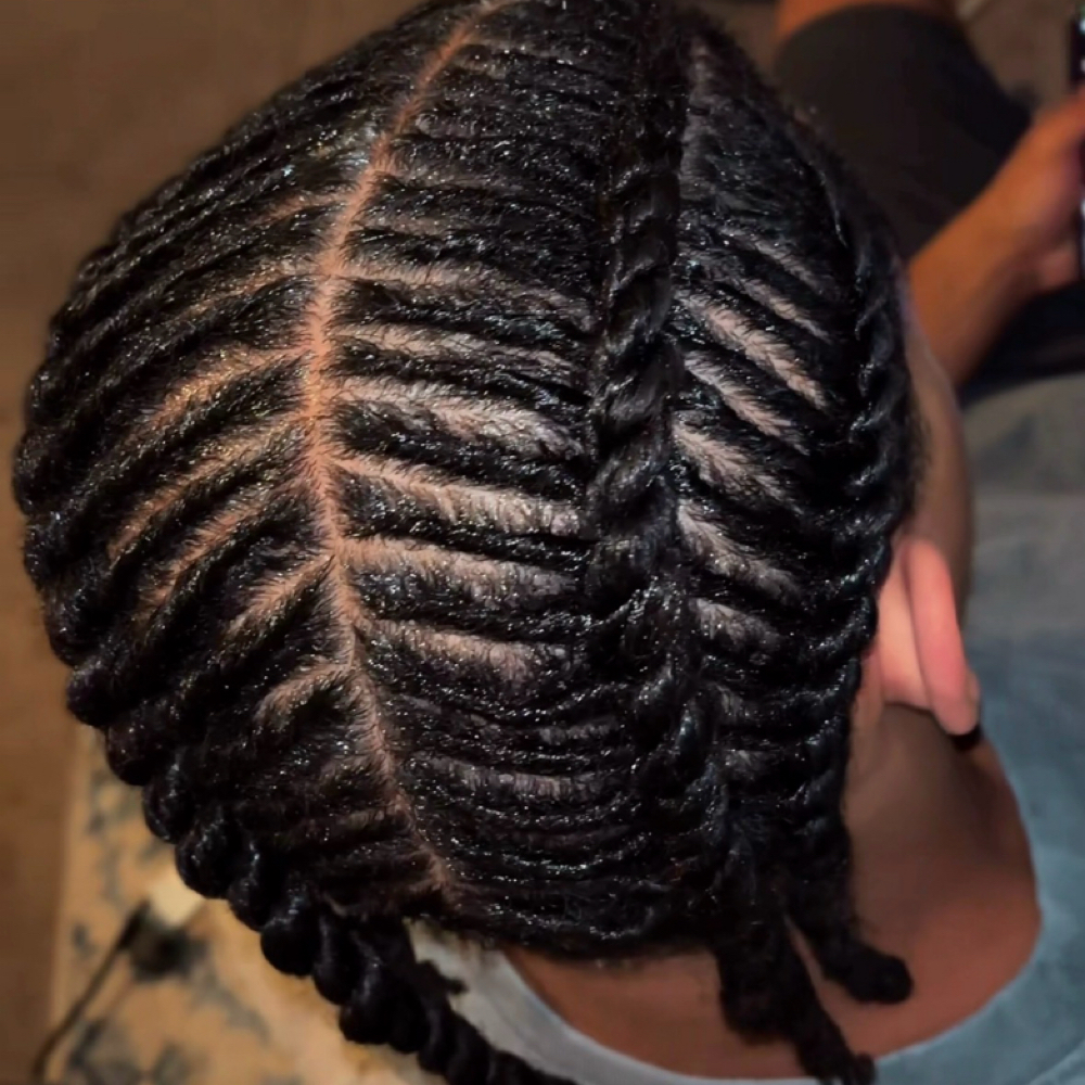 Twist Braids at StylesByHer in King Of Prussia, PA