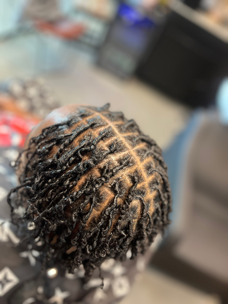 Starter Locs