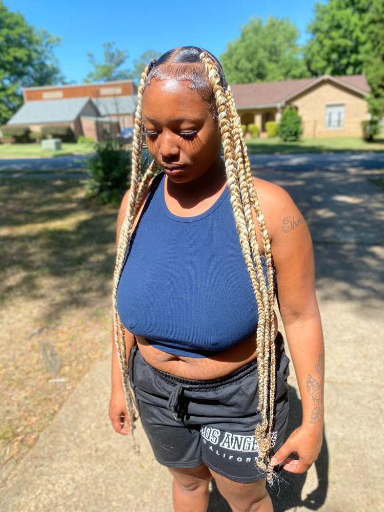 Jayda Wayda Braids