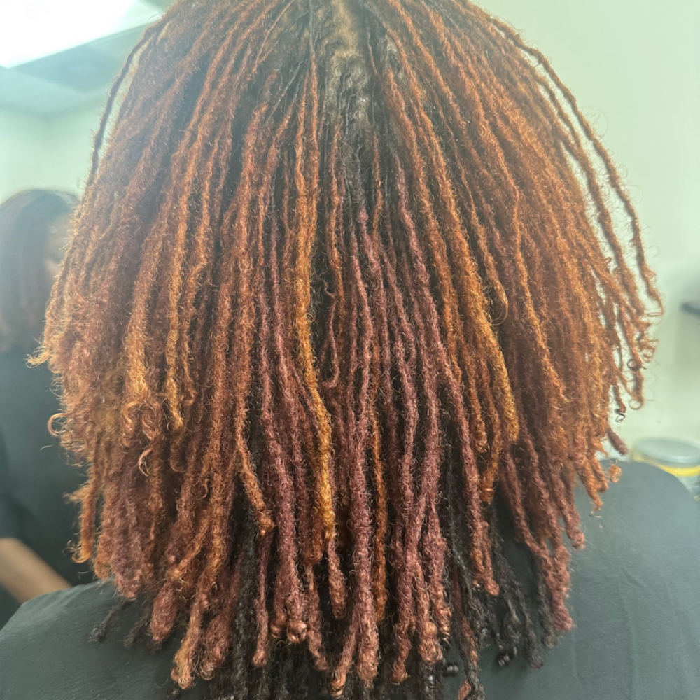Micro Locs Tightening & Retwist at Salon One By Paris in Westerville, OH