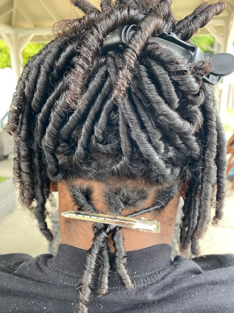 Starter Locs (Coils Or T.S.Twists)
